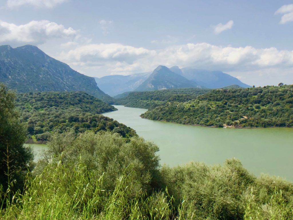 Het Lago del Cedrino ligt in de ongerepte natuur en een bergketen. Foto: Sascha Tegtmeyer