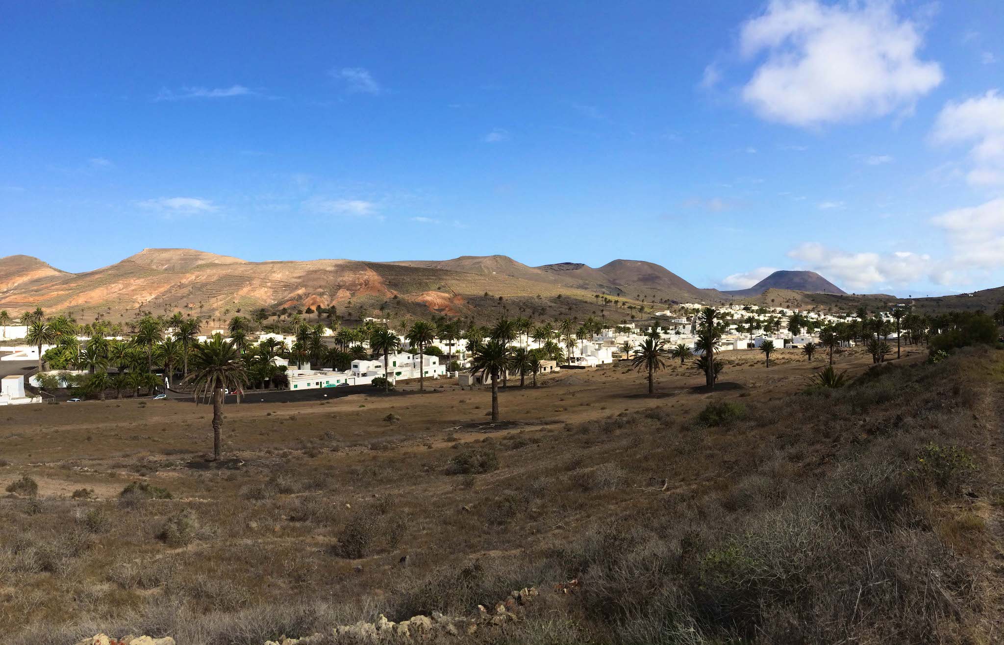 Valle de las 1000 palmeras: en el pequeño pueblo de Haría en Lanzarote, una increíble cantidad de palmeras crecen en contraste con el paisaje bastante árido. Foto: Sascha Tegtmeyer