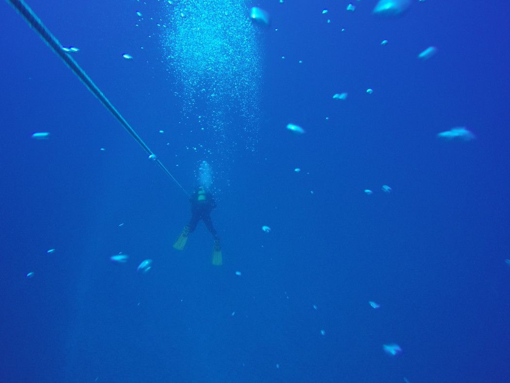 Descending with the anchor rope: The Atlantic can be fickle and sometimes there is a strong current. Photo: Sascha Tegtmeyer Diving in Gran Canaria Experience report - top spots in the Atlantic?