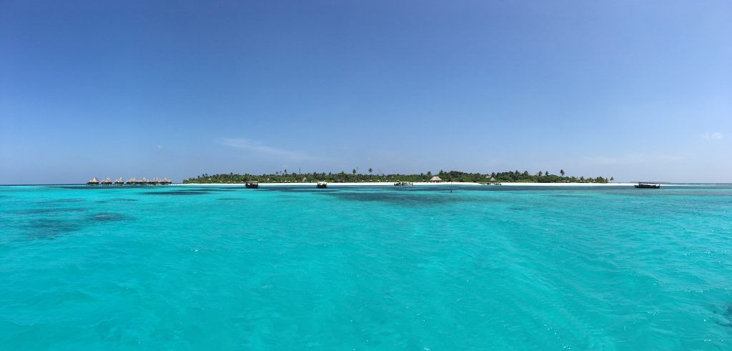 Coco Palm Dhuni Kolhu: Die Trauminsel im Baa Atoll ist ein Paradies für Taucher. Foto: Sascha Tegtmeyer