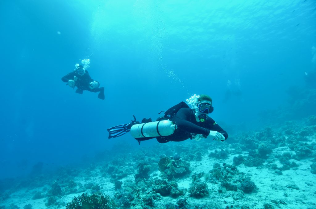 Tauchsafari Ägypten Ich breche auf zu neuen Ufern: Meine erste Tauchsafari in Ägypten steht an. Es geht auf Nordtour durchs Rote Meer mit dem Tauchsafari-Schiff Seawolf Felo. Ich bin schon ganz aufgeregt: Das weltberühmte Wrack der Thistlegorm steht mit auf dem Programm. Und der Clou dieser Reise: An Board wird Sidemount getaucht und lernwillige Teilnehmer:innen können einen Sidemount Kurs belegen. Was gibt es zu entdecken? Und wie ist eine Tauchsafari in Ägypten mit Seawolf? In diesem Beitrag teile ich meine Ägypten-Liveaboard-Erfahrungen mit dir.