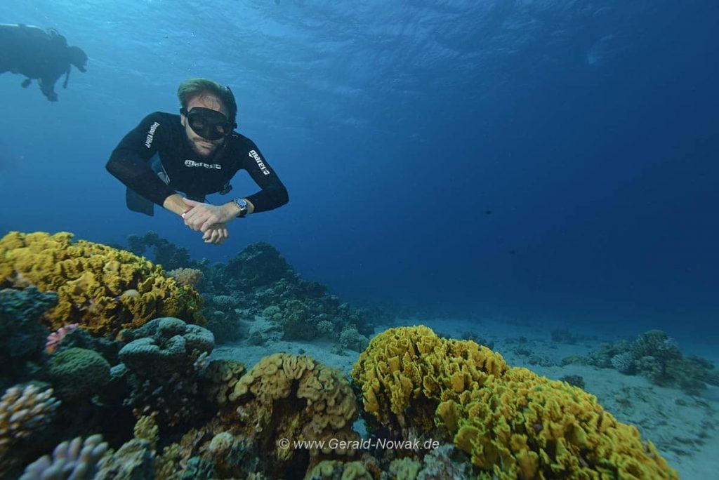 Nik Linder beim Apnoe Auch für Apnoe-Taucher hatte die Tala Bay Dive Challenge einiges zu bieten. Foto: Gerald Nowak