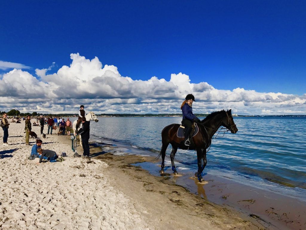 Riding on the beach: Since 01. October, the horses are allowed to return to the beach and to the Baltic Sea. Photo: Sascha Tegtmeyer Baltic Sea, sea, riding on the beach, Scharbeutz, Haffkrug, Timmendorfer beach, Sierksdorf, Lübeck Bay, vacation, travel, weekend, beach, beach vacation, dolphins, porpoises, whales, sailing, boats, stand up paddling, environment, Nature, wildlife, surfing, windsurfing, SUP, diving, beach chair, beach chair rental, boat rentals, boats, ships, Travemünde,