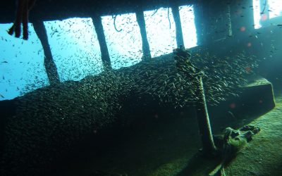 Tauchen in Kroatien Erfahrungsbericht – Tour am Wrack der Cesare Rossarol