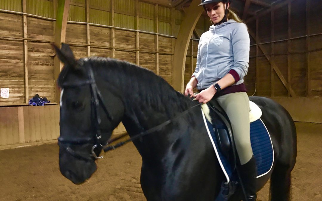 Apple Watch Reiten Erfahrungsbericht – die besten Reit-Apps