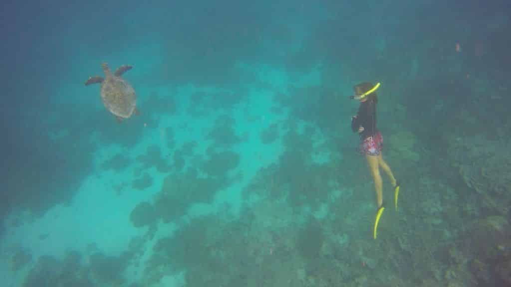 Meeresbiologin Sonia Valladares in Aktion: Die Dokumentation der Schildkröten-Population rund um Coco Bodu Hithi gehört zu ihrem Job. Foto: Sascha Tegtmeyer