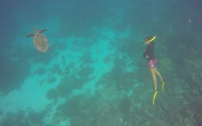 Meeresbiologin Dr. Sonia Valladares im Interview – „Das Meer ist in Gefahr!“