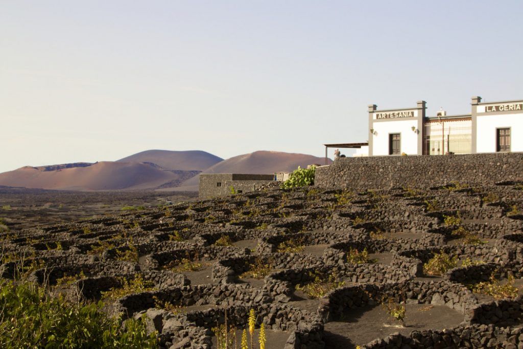 La Geria: Weinanbaugebiet auf Lanzarote. Foto: S. Tegtmeyer
