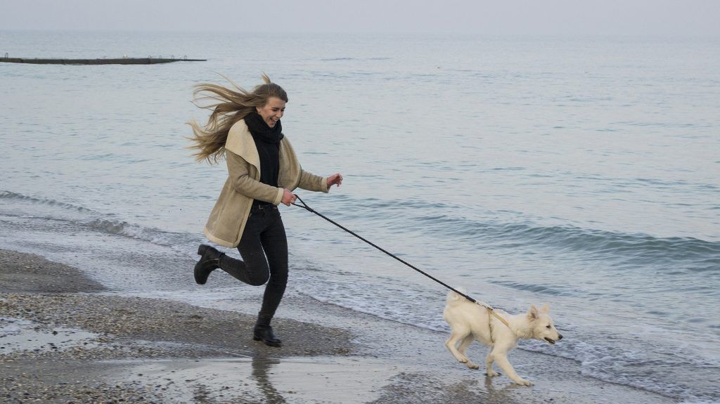 Unas vacaciones en el mar Báltico con un perro son una experiencia inolvidable. Foto: Pixabay