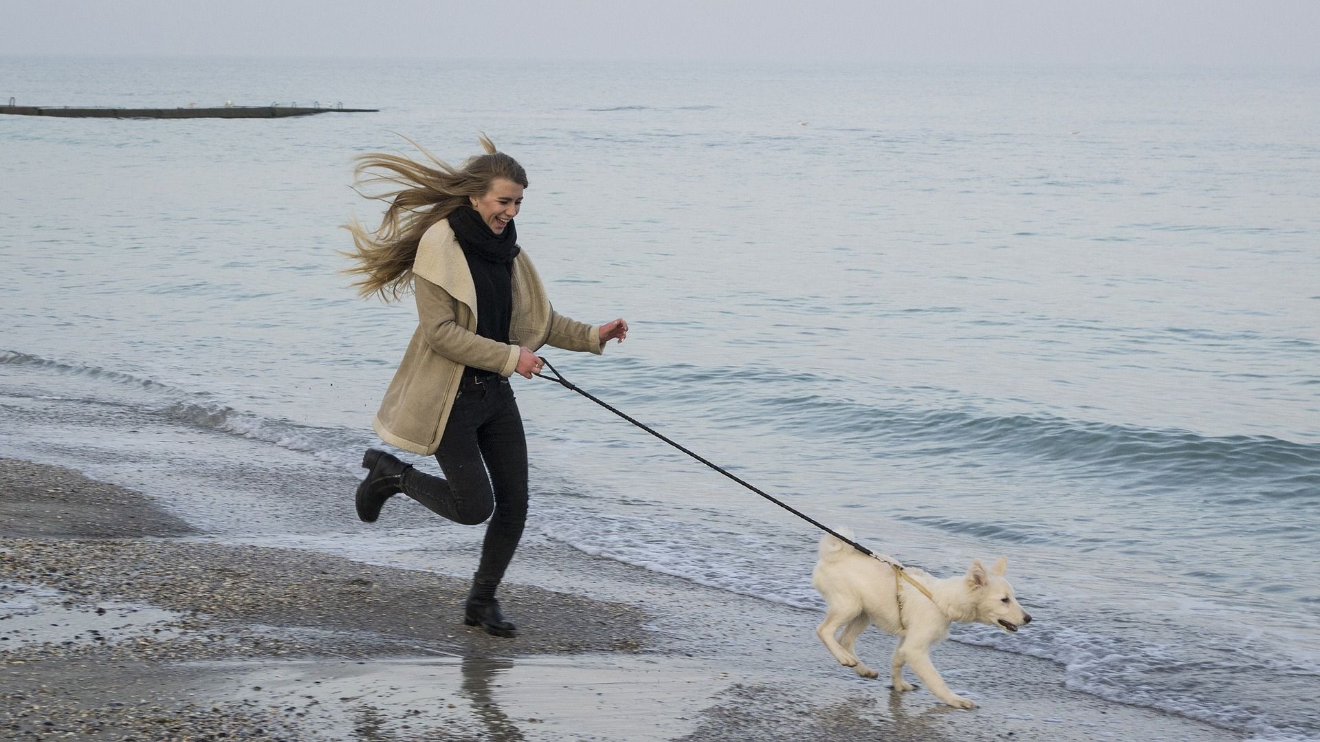 Een vakantie aan de Oostzee met een hond is een onvergetelijke ervaring. Foto: Pixabay