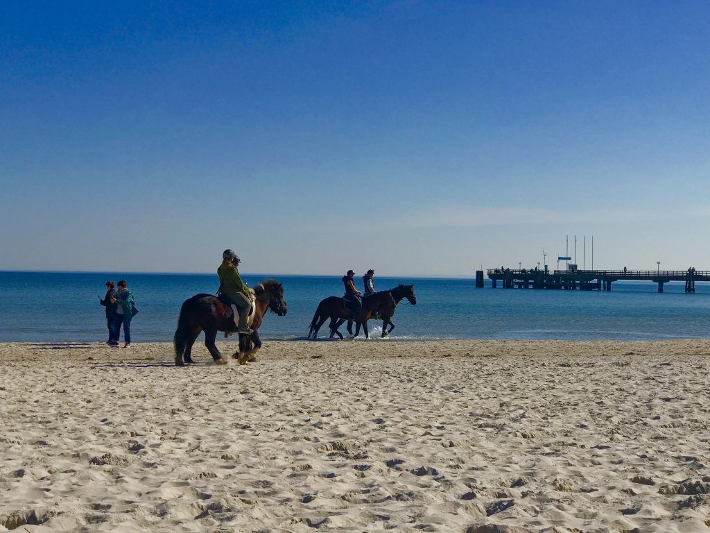 Do ostatniego dnia jeźdźcy korzystają z możliwości jazdy konnej po plaży nad Bałtykiem. Zdjęcie: Sascha Tegtmeyer Jazda po plaży – najlepsze trasy na wyprawę konną Stąd są co najmniej dwie trasy, z których mogą wybierać jeźdźcy konni: Z jednej strony można podjechać odcinkiem plaży lewym poboczem w kierunku Haffkrug i przyjechać tu do Sierksdorfu – teoretycznie można nawet dojechać do Hansa Park lub nawet dalej do Neustadt. Mijasz różne szkoły surfingu, ale one ci nie przeszkadzają i możesz swobodnie kłusować i galopować nad morzem.