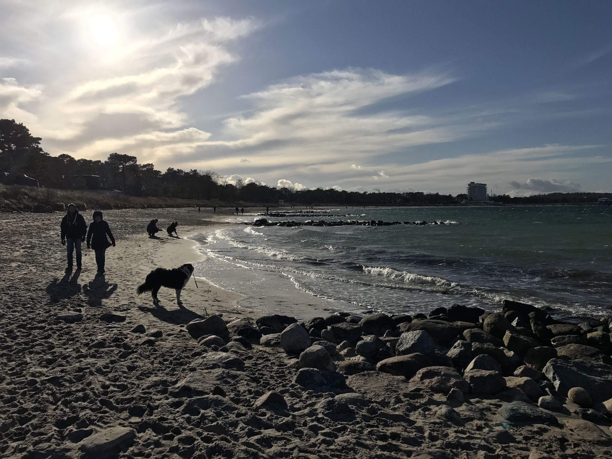 Fino a 31. A marzo puoi marciare nella baia di Lubecca con il tuo cane in spiaggia. Foto: Sascha Tegtmeyer