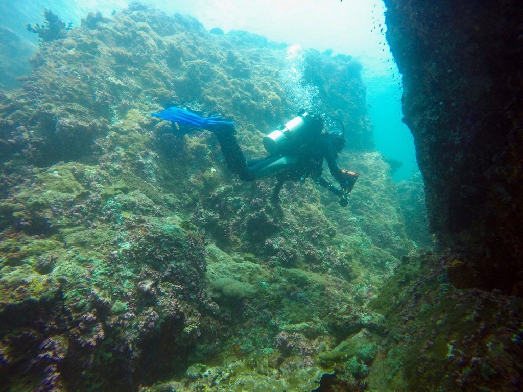 dykning koh lipe dykkercenter dykkersteder ferierejser IMG 6763 Rejserapport Koh Lipe - tips & oplevelser i paradis