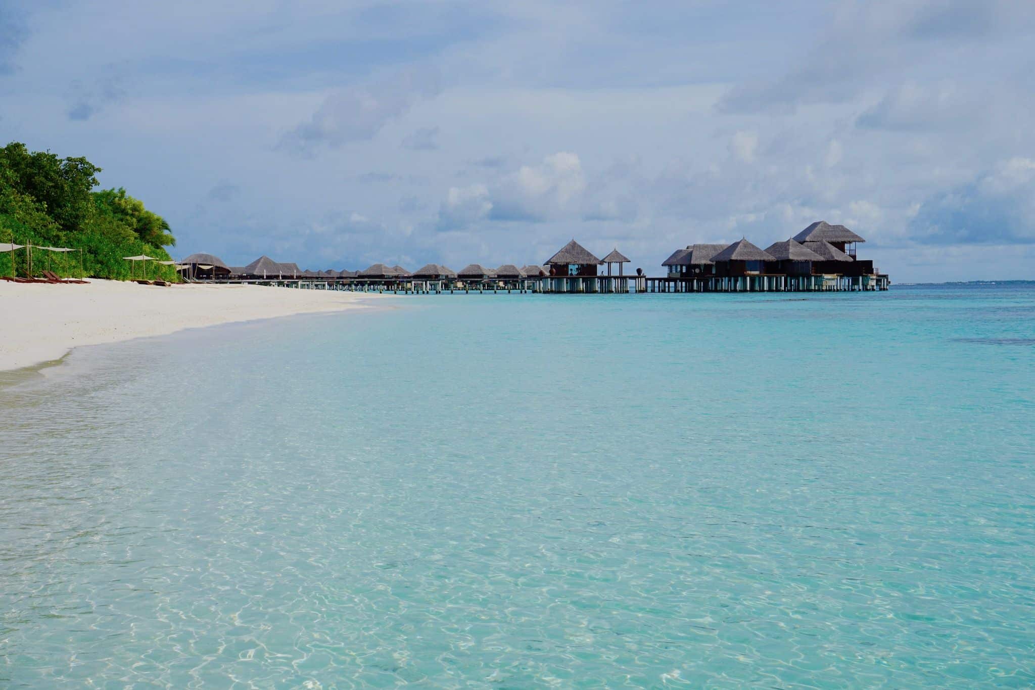 In der Lagune auf der Malediven-Insel Coco Bodu Hithi: Sonnen und baden gehen ist ein Genuß! Foto: Sascha Tegtmeyer