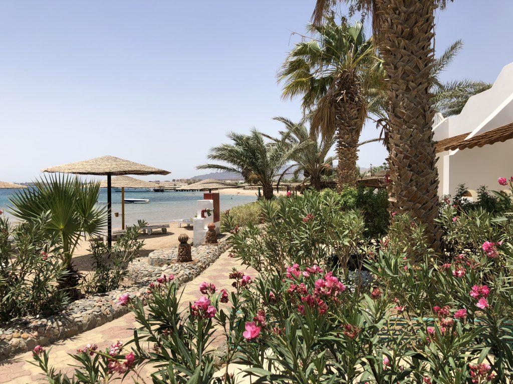 Ägypten - Urlaub: Das Rote Meer liegt wieder voll im Trend! Foto: Sascha Tegtmeyer