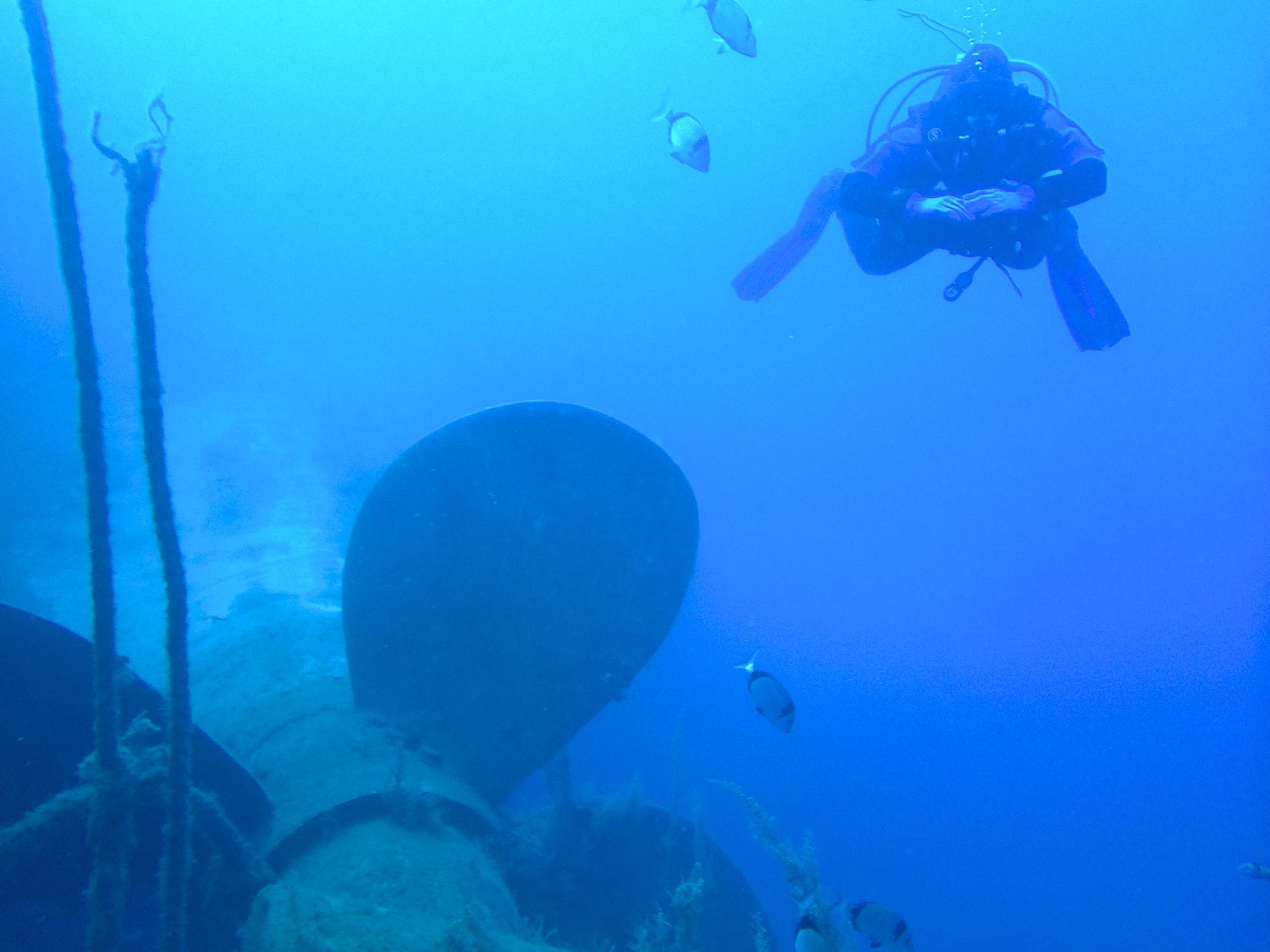 Impressions of diving at the Zenobia. Photo: Sascha Tegtmeyer