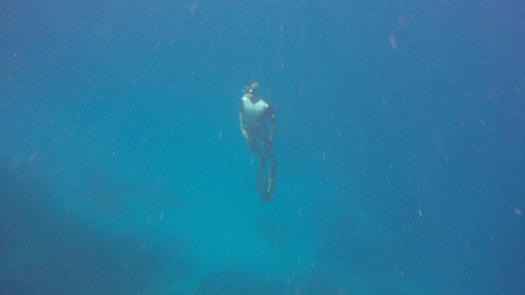 Operatore subacqueo di apnea Herbert Nitsch nel suo elemento. Foto: Sascha Tegtmeyer