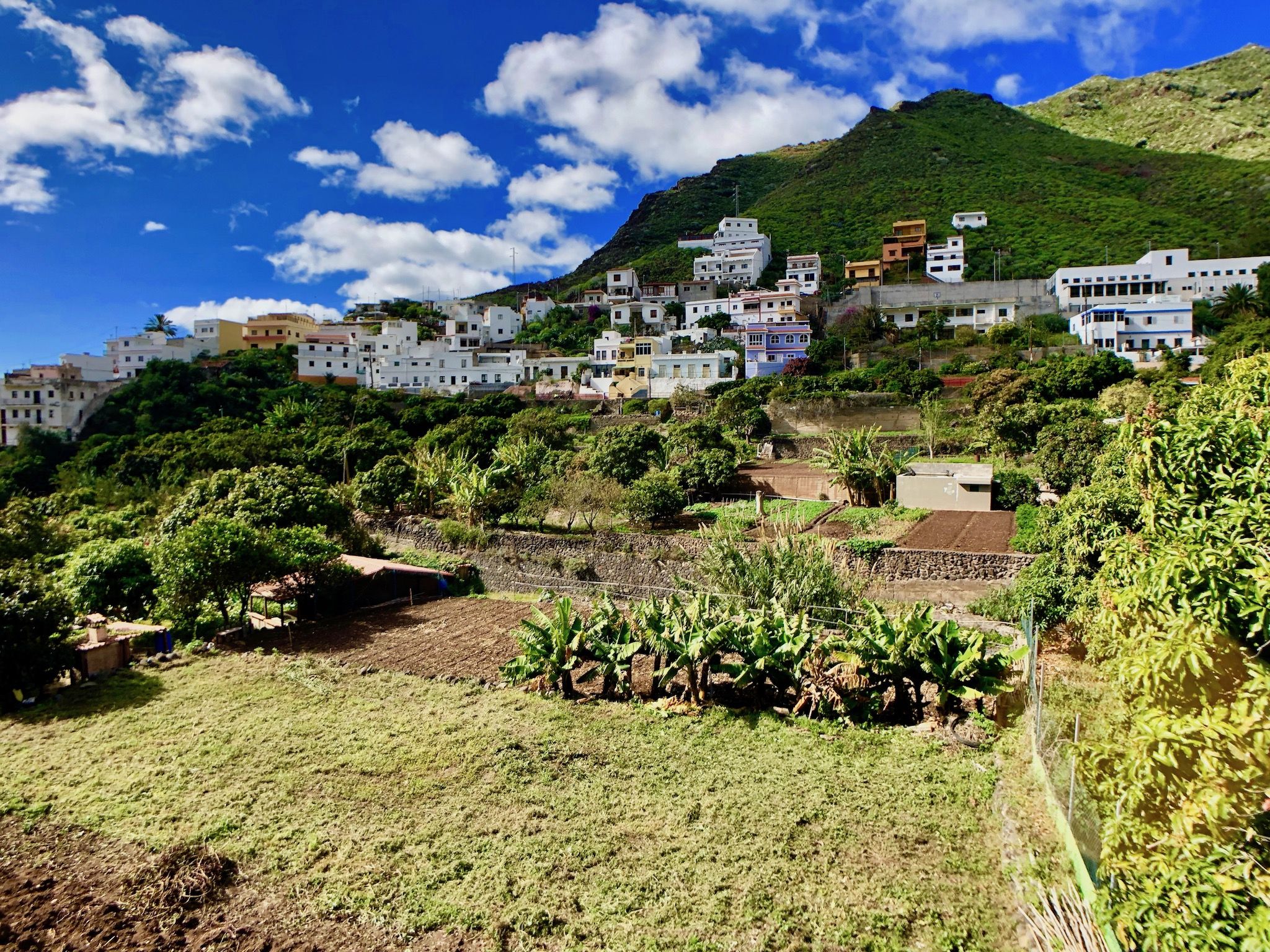 El pueblo de Igueste de San Andrés se encuentra en el extremo noreste de la isla, realmente se puede decir aquí: lejos de las grandes corrientes turísticas. Foto: Sascha Tegtmeyer