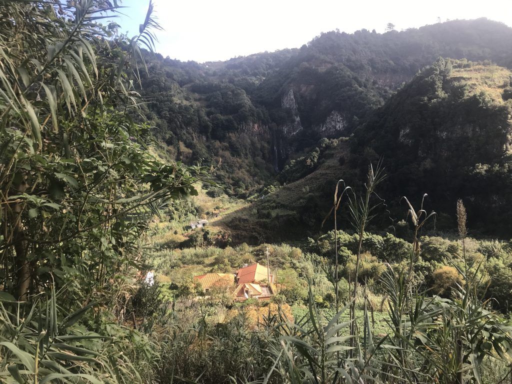 Im Landesinneren Madeiras gibt es zahllose Wanderwege. Foto: Sascha Tegtmeyer