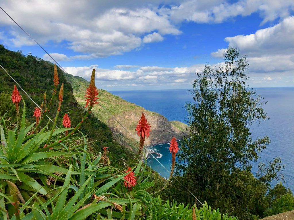 Madeira ist ganzjährig ein perfektes Ziel für Wanderreisen. Foto: Sascha Tegtmeyer