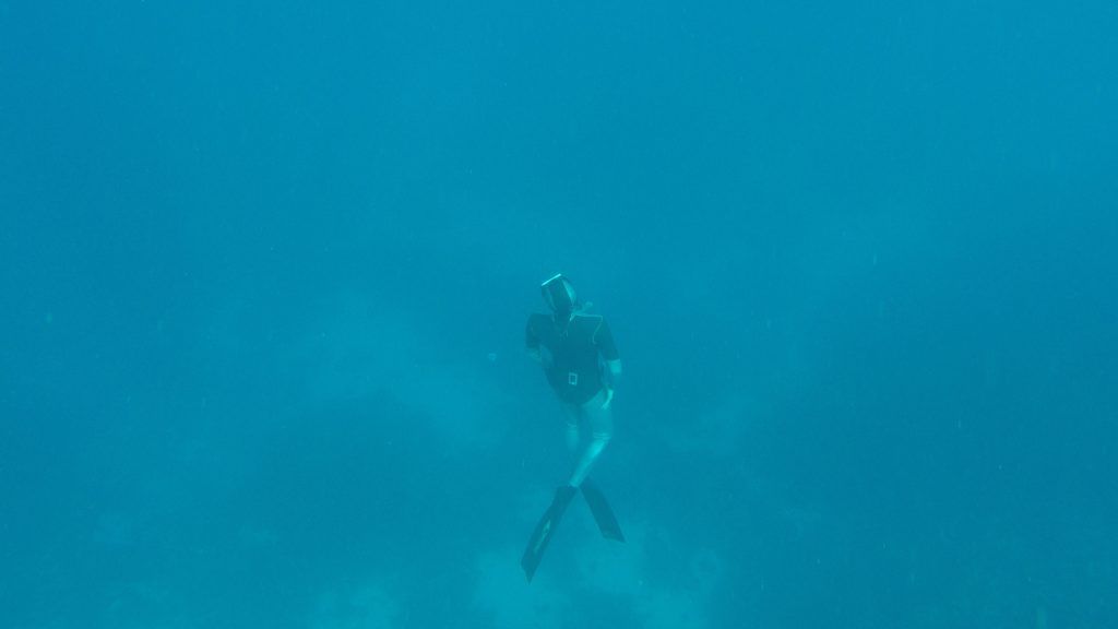 Schnorcheln im Urlaub Tipps – So macht's richtig Spaß 15 Beim Freediving taucht man ohne Tauchgerät mit nur einem Atemzug ab und bleibt mehrere Minuten unter Wasser. Foto: Sascha Tegtmeyer