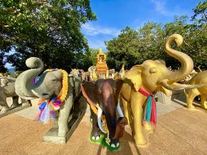 Am Promthep Kap findet Ihr einen Tempel mit zahlreichen Elefanten-Statuen. Foto: Sascha Tegtmeyer