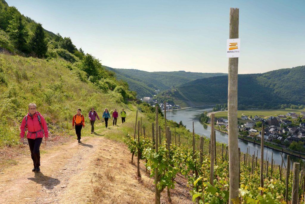 La vallée de la Moselle peut être explorée lors de longues randonnées au départ de Cochem. Photo: Office de Tourisme Ferienland Cochem