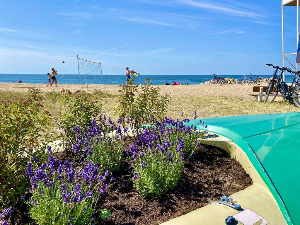 Entspanntes Strandleben: Im Vergleich zu den Hotspots an der Ostseeküste geht es auf der Insel ziemlich relaxt zu. Foto: Sascha Tegtmeyer
