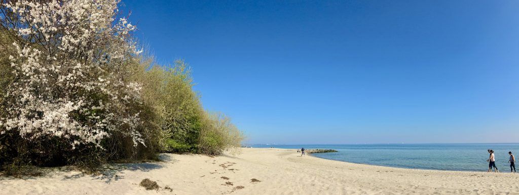 Idylliczna i cicha: plaża w Sierksdorf jest idealnym miejscem na relaks. Zdjęcie: Sascha Tegtmeyer