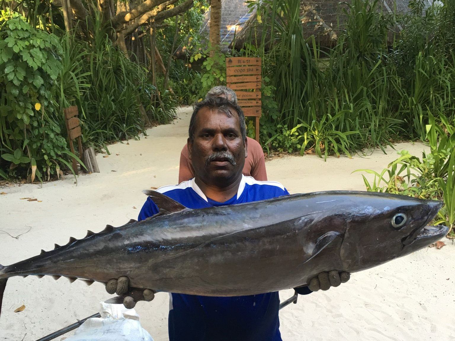 coco palm dhuni kolhu Frischer Fisch kommt direkt aus dem Meer. Foto: Sascha Tegtmeyer
