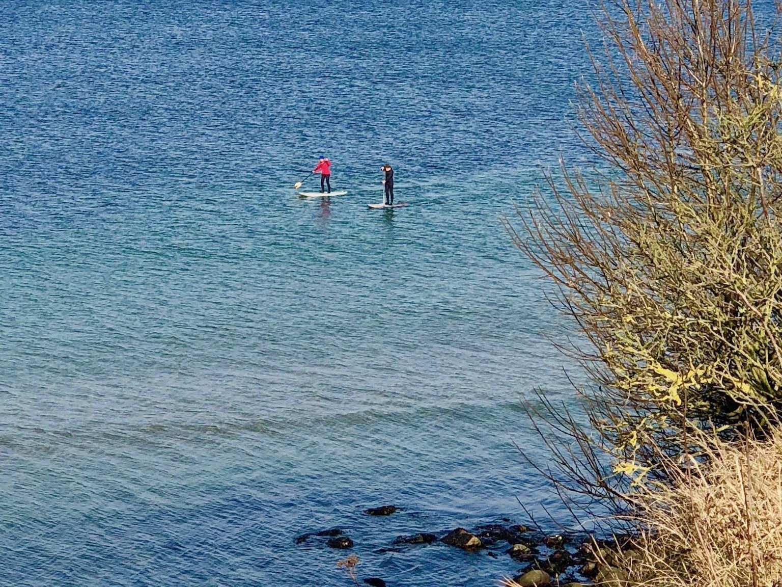SUP in winter: Two Stand Up paddlers are on the 4 Grad cold Baltic in February. Photo: Sascha Tegtmeyer