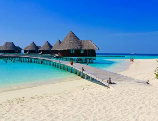 Diario di viaggio Maldive: consigli: l'isola paradisiaca dovrebbe assolutamente essere nella tua lista dei desideri. Foto: Sascha Tegtmeyer Rapporto di viaggio Suggerimenti per le Maldive