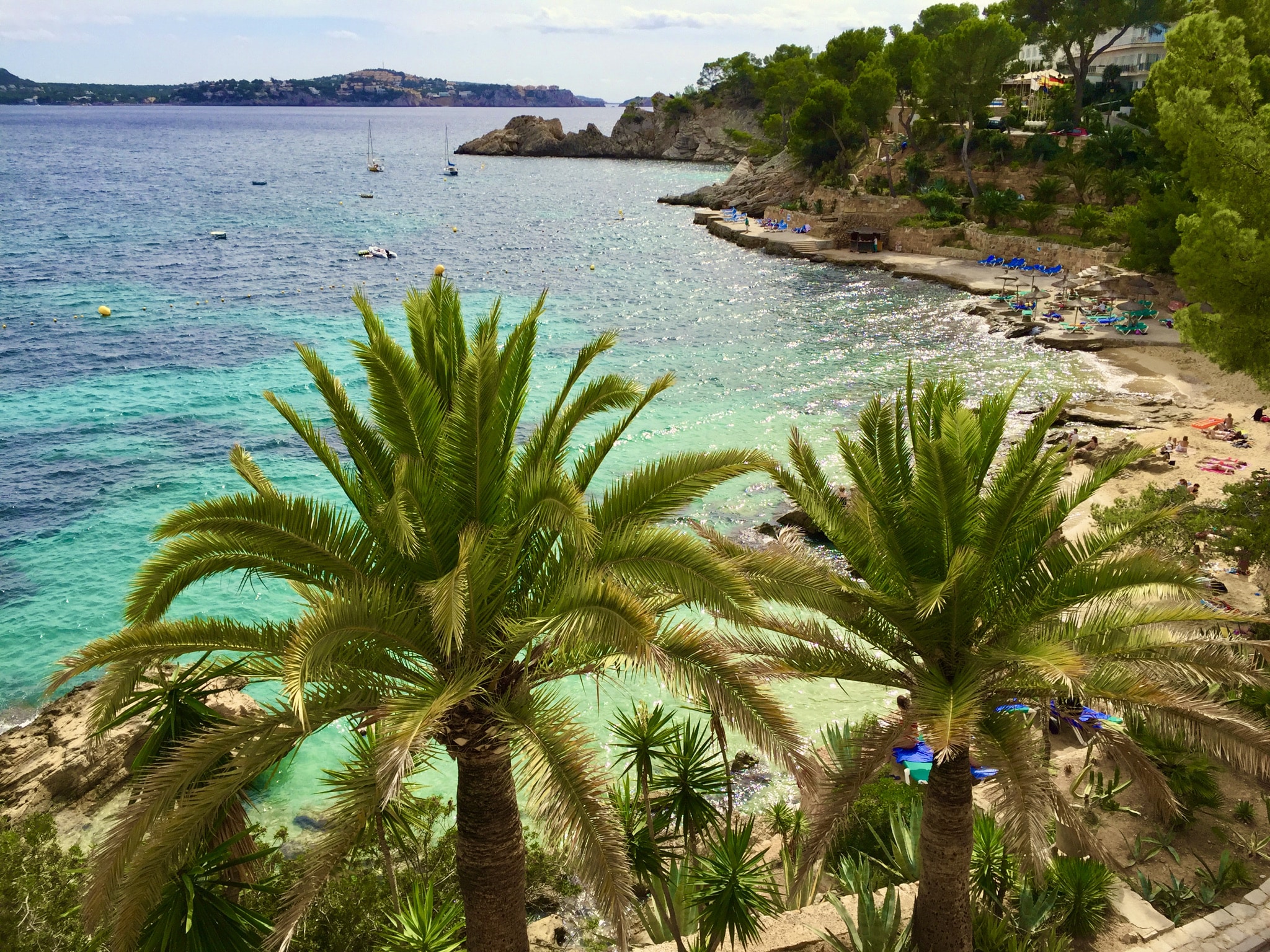 Carnet de voyage Majorque – conseils et expériences d’une île pleine de joie