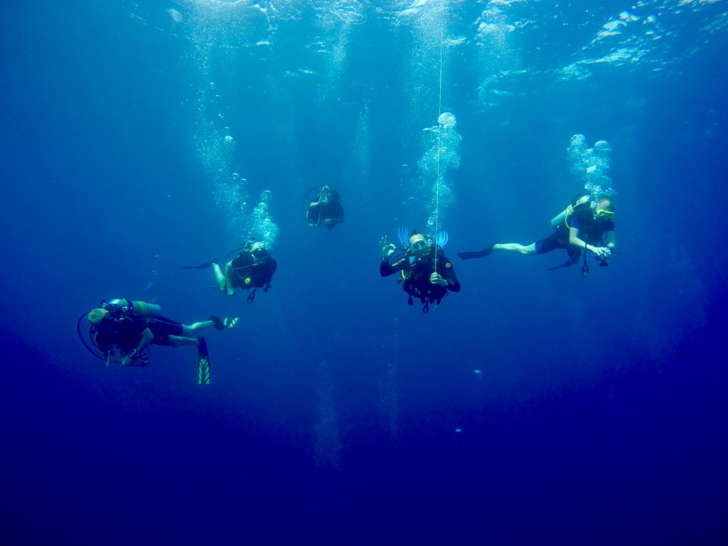 Thailand diving safari experiences Photo: Sascha Tegtmeyer