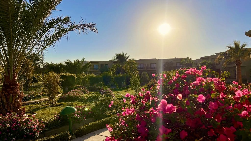 De hotelcomplexen in Egypte zijn vaak ruim - ideaal voor een rondje joggen. Foto: Sascha Tegtmeyer joggen Egypte woestijn rode zee hardlopen go tips ervaringen IMG_0781