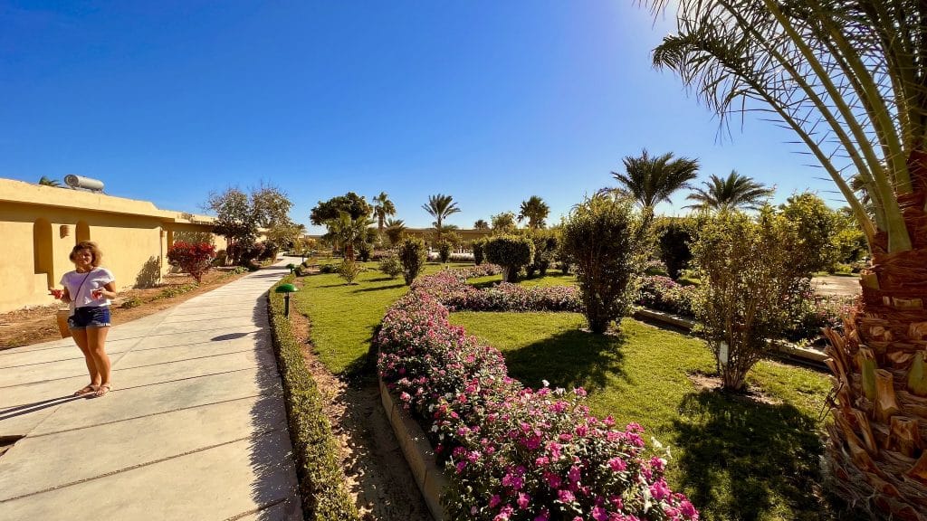 Velholdte haver: Fayrouz Beach Resort har grønne haver mellem husene med hotelværelserne. Foto: Sascha Tegtmeyer Rejserapport Marsa Alam Tips Oplevelser - Egypten