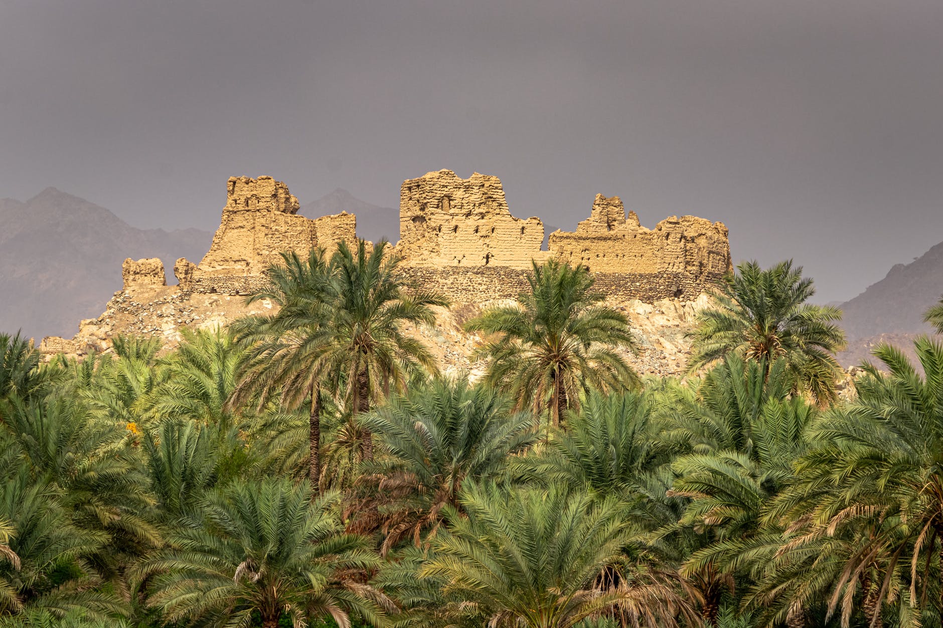 green palm trees near brown concrete castle under white clouds