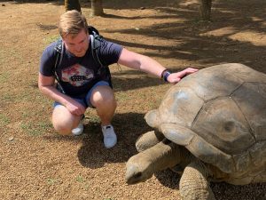 Die Insel Mauritius hat eine ganz besondere Tierwelt, die du bei deiner Reise auf die Insel hautnah erleben kannst. Wenn du am Strand vor deinem Hotel schnorcheln gehst, siehst du höchstwahrscheinlich sofort ein paar Meeresschildkröten. Und tagsüber hängen die Flughunde in den Bäumen. Welche Tiere auf Mauritius kannst du beobachten? Und welche Tierarten sind wohlmöglich sogar gefährlich? Ich habe auf Mauritius so viele faszinierende Lebewesen gesehen und möchte meine Erlebnisse in diesem Erfahrungsbericht mit dir teilen.