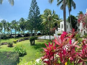 Die Insel Mauritius liegt vor Madagaskar im Indischen Ozean und zählt mit Sicherheit zu den schönsten Inseln der Welt. Foto: Sascha Tegtmeyer