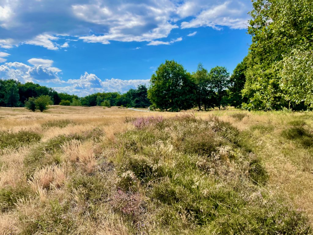 Joggen in Hamburg – die schönsten Laufstrecken der Stadt 19 Die Boberger Dünen, ein verstecktes Kleinod im Osten Hamburgs, bieten eine atemberaubende Kulisse für unvergessliche Jogging-Erlebnisse. Foto: Sascha Tegtmeyer In dieser einzigartigen Oase aus malerischen Dünenlandschaften und unberührter Natur findest du die perfekte Umgebung, um dein Lauftraining auf die nächste Stufe zu heben. Die facettenreiche Landschaft der Boberger Dünen bietet dir anspruchsvolle Anstiege, die dein Training intensivieren und deine Ausdauer herausfordern. Die weichen Sandwege laden deine Füße zu einem natürlichen Laufgefühl ein und bieten ein einzigartiges Erlebnis.