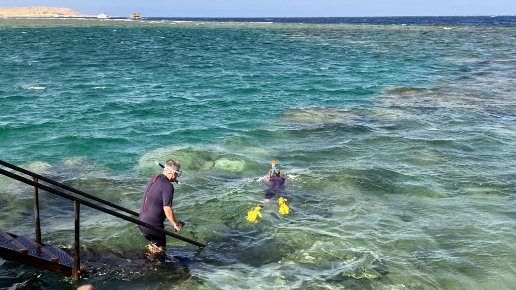 Snorkel Mar Rojo Egipto Consejos Experiencias House Reefs