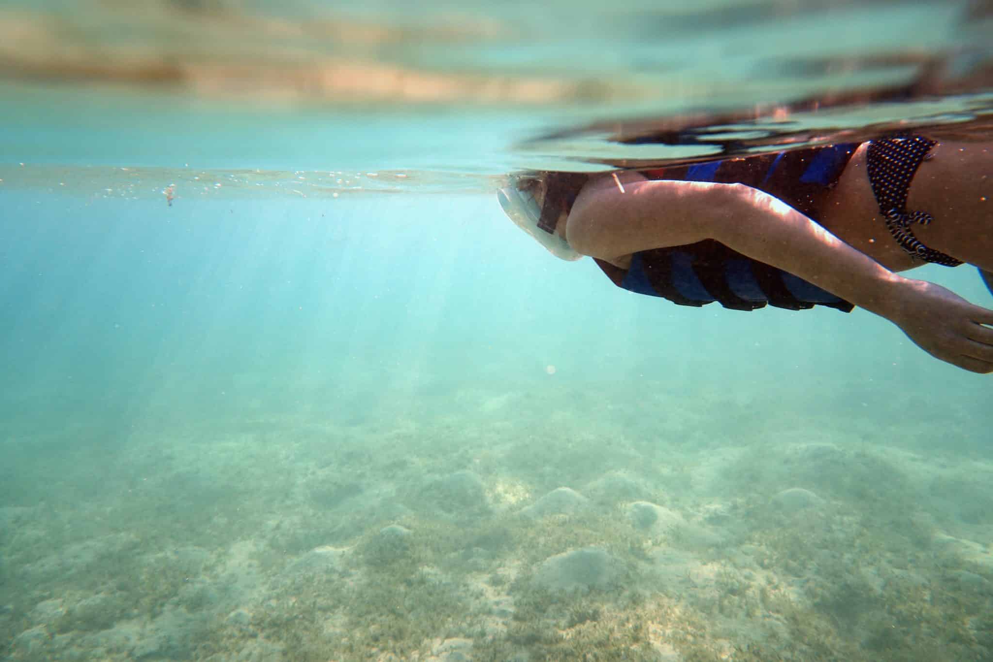 In de overgrote meerderheid van de gevallen zie je tijdens het snorkelen in de Rode Zee in Egypte alles behalve een haai. Foto: Sascha Tegtmeyer