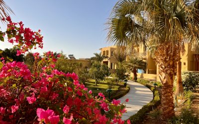 Reisebericht Marsa Alam – Tipps & Erfahrungen für den Süden Ägyptens