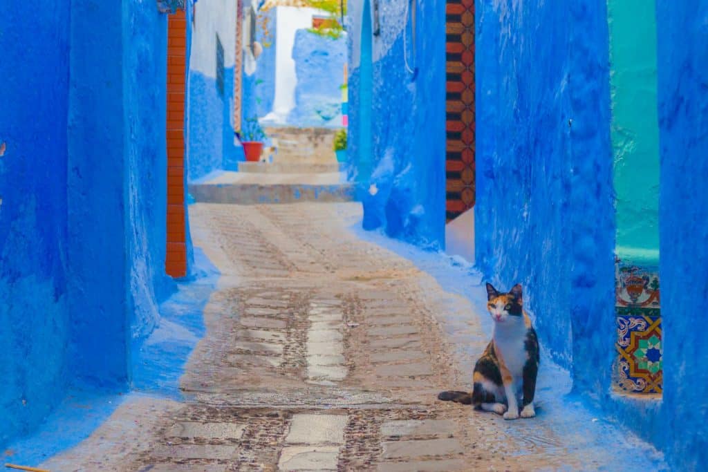 Marokko Gute und günstige Reiseziele – Liste: Wo kann man gut und günstig Urlaub machen?