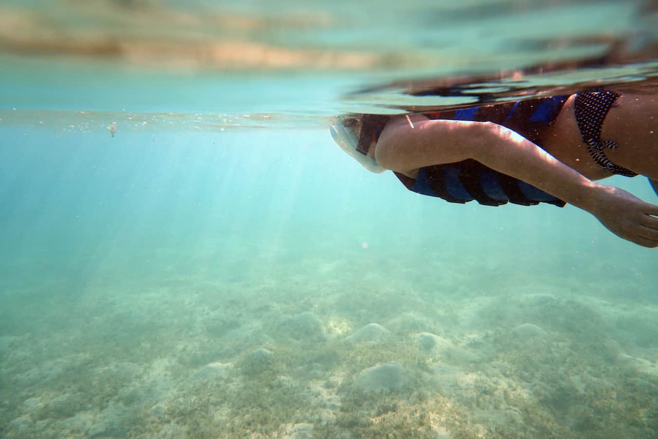 Snorkeling à Marsa Alam – mon rapport d’expérience