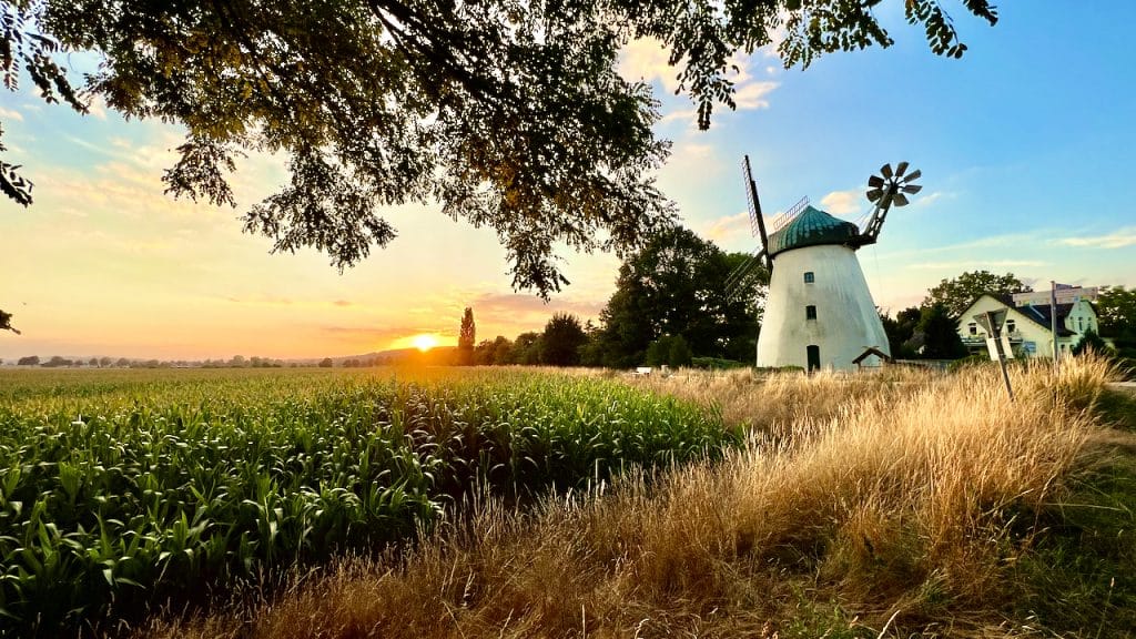 Where can you go on holiday in Germany this year? And what do you have to consider? We have put together the most important information about traveling in this country. Photo: Sascha Tegtmeyer Germany Holiday Destinations Tips Experiences