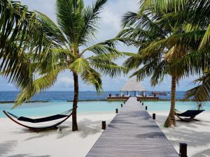 Paradiset har ett namn: Coco Bodu Hithi - all information om ön i vår reserapport! Foto: Sascha Tegtmeyer