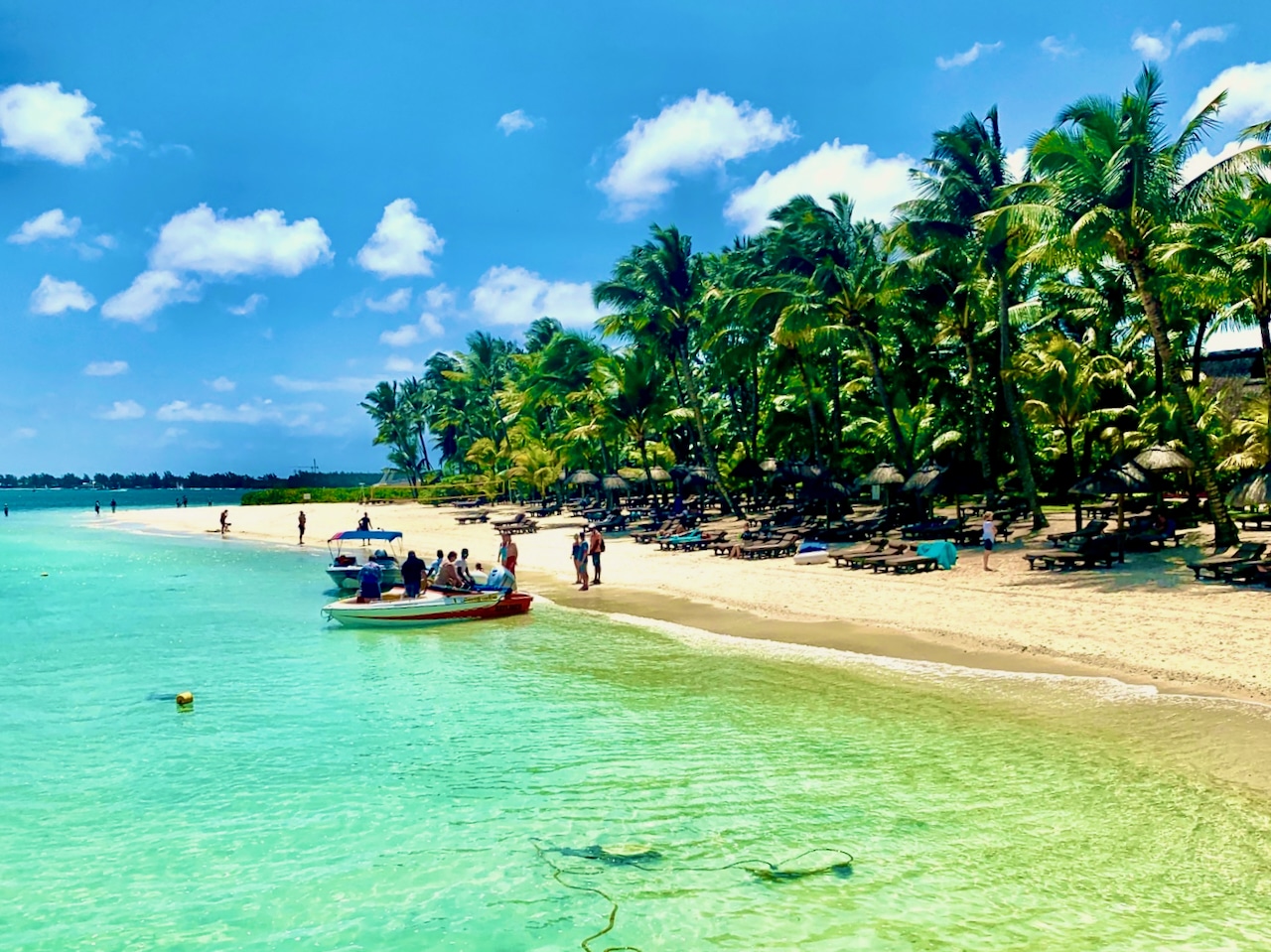 Raport z nurkowania na Mauritiusie Porady i porady Doświadczenia