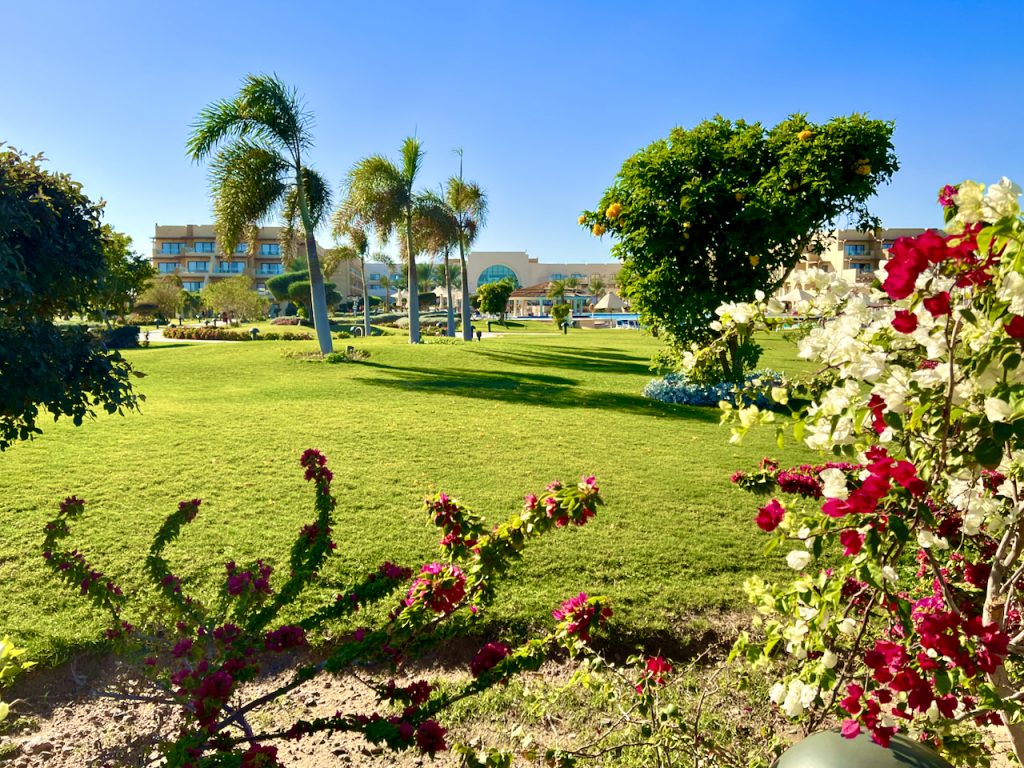 Das Hotel hat eine wunderschöne Gartenanlage, die mich ein wenig an einen gut gepflegten Golfplatz erinnert hat. Foto: Sascha Tegtmeyer Mövenpick Resort Soma Bay Erfahrungen Bewertungen Erfahrungsbericht Reisebericht