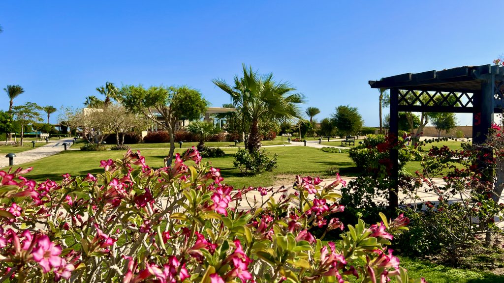 Mövenpick Resort Soma Bay Erfahrungen Bewertungen Erfahrungsbericht Reisebericht